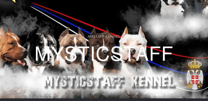 Odgajivačnica Mysticstaff